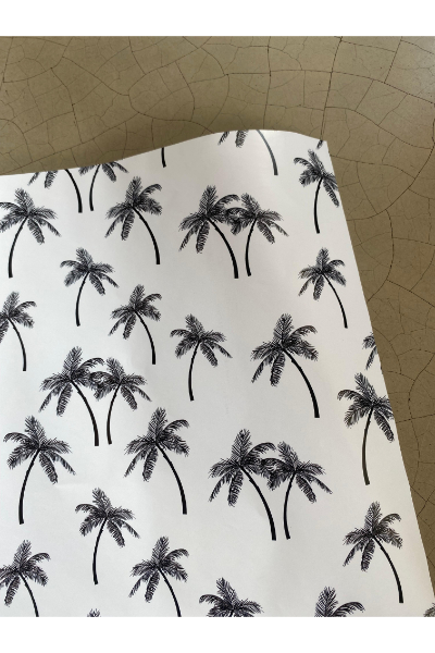 Wrapping Paper - Ivory Coconuts